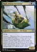 Nael, Avizoa Aeronaut #207