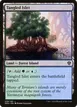 Tangled Islet #258