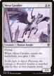Mesa Cavalier #26
