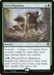 Herd Migration #429