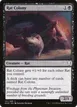 Rat Colony #101