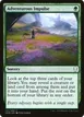 Adventurous Impulse #153