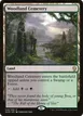 Woodland Cemetery #248