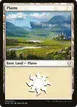 Plains #250
