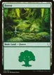 Forest #269