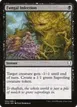 Fungal Infection #94