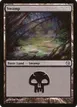 Swamp #104