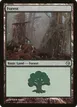 Forest #110