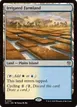 Irrigated Farmland #161