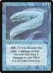 Electric Eel #25