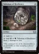 Talisman of Resilience #255
