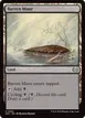 Barren Moor #262
