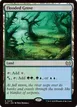 Flooded Grove #276