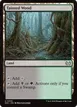 Tainted Wood #305
