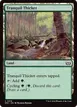 Tranquil Thicket #318