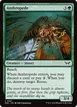 Anthropede #167