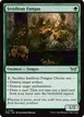 Insidious Fungus #186