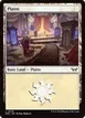 Plains #278