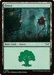 Forest #285