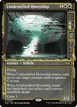 Unidentified Hovership #305