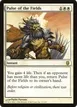 Pulse of the Fields #11