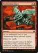 Tormenting Voice #163