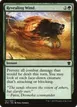 Revealing Wind #197