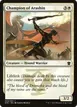 Champion of Arashin #9