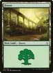 Forest #101