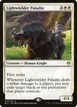 Lightwielder Paladin #14