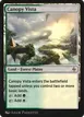 Canopy Vista #20