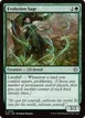 Evolution Sage #105
