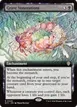 Grave Venerations #29