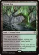 Vernal Fen #63