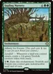 Sapling Nursery #192