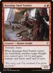 Burning-Yard Trainer #117