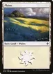 Plains #251