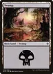 Swamp #258
