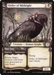 Order of Midnight // Alter Fate #288