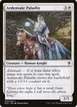 Ardenvale Paladin #4