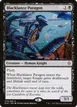 Blacklance Paragon #79