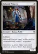 Beloved Princess #7