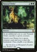 Natural Order #177