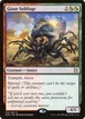 Giant Solifuge #216