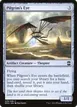 Pilgrim's Eye #229