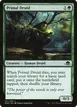 Primal Druid #167
