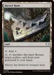 Buried Ruin #150
