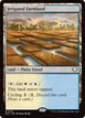 Irrigated Farmland #162