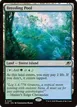 Breeding Pool #251