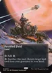 Petrified Field #77